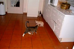 NeroandLarry20030907.jpg